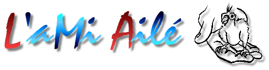 L'aMi ail