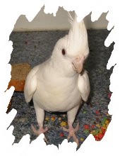 différente mutation