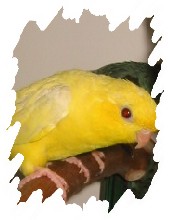 différente mutation